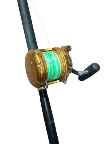 Penn Reels International 50Vsx Gold 001500677604 Cash Converters