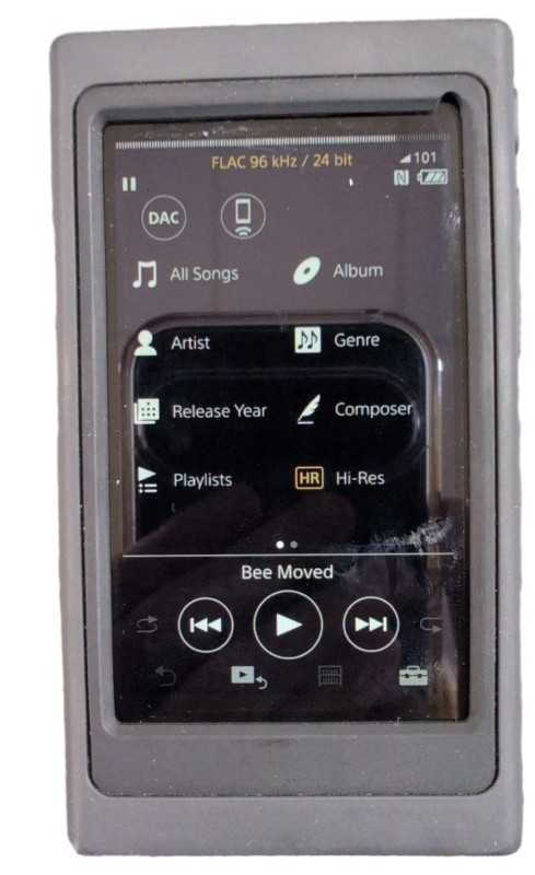 Sony Walkman Nw-A45 Black | 043000399331 | Cash Converters