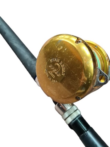 Penn Reels International 50Vsx Gold 001500677604 Cash Converters