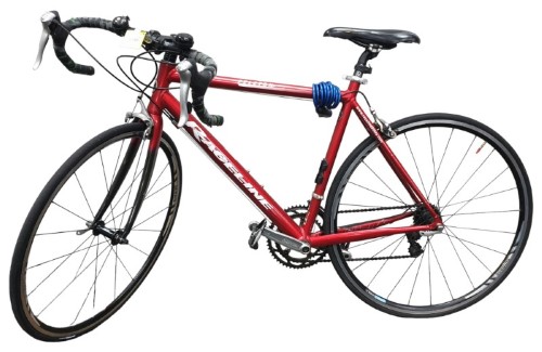 Raceline Peleton Red 001100222071 Cash Converters