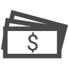 cash icon